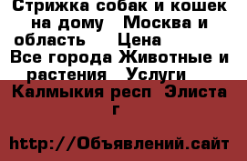 Стрижка собак и кошек на дому.  Москва и область.  › Цена ­ 1 200 - Все города Животные и растения » Услуги   . Калмыкия респ.,Элиста г.